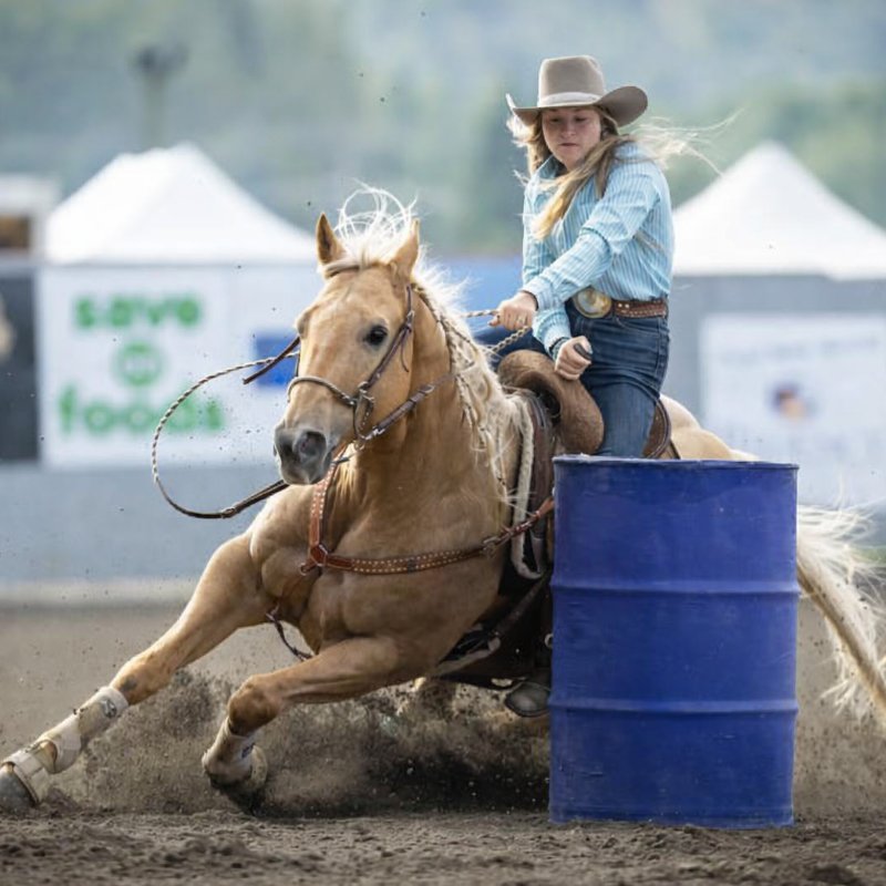 King-Crush. Solid 15 Sec Runner with Try and Turn