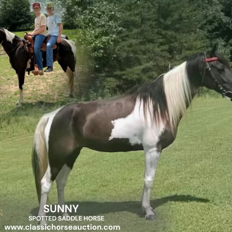 SUNNY
