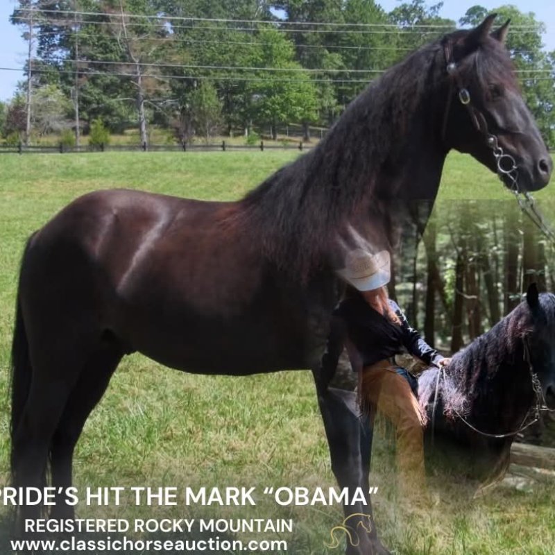 OBAMA