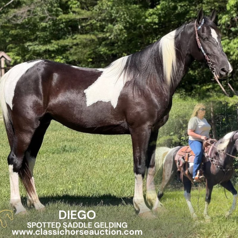 DIEGO